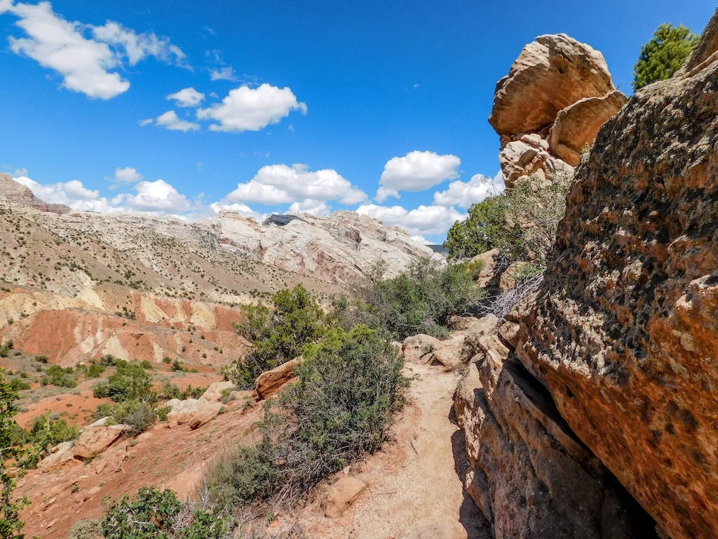 (Erin Alberty  |  Tribune file photo)  Dinosaur National Monument's Desert Voices trail shows off some of the monument's rocky scenery and desert plants and wildlife. The BLM has decided to lease terrain neighboring the Utah part of the monument of oil and gas drilling.