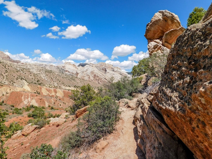 Erin Alberty  |  The Salt Lake TribuneDesert Voices is a family trail at Dinosaur National Monument. It is just over 2 miles long and shows off some of the monument's rocky scenery and desert plants and wildlife. May 27, 2017.