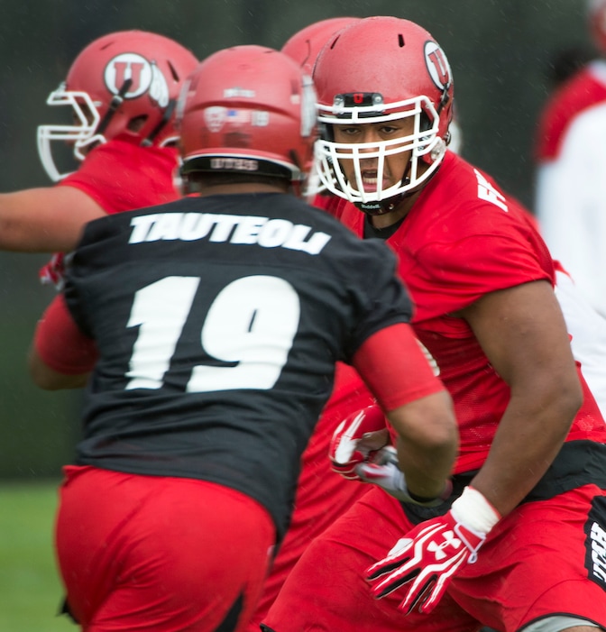 Steve Griffin  |  The Salt Lake TribuneUniversity of Utah offensive lineman Lo Falemaka looks to block linebacker Sunia Tauteoli (19) during second day of the teams fall camp at the University of Utah baseball field  in Salt Lake City, Friday, August 7, 2015.  