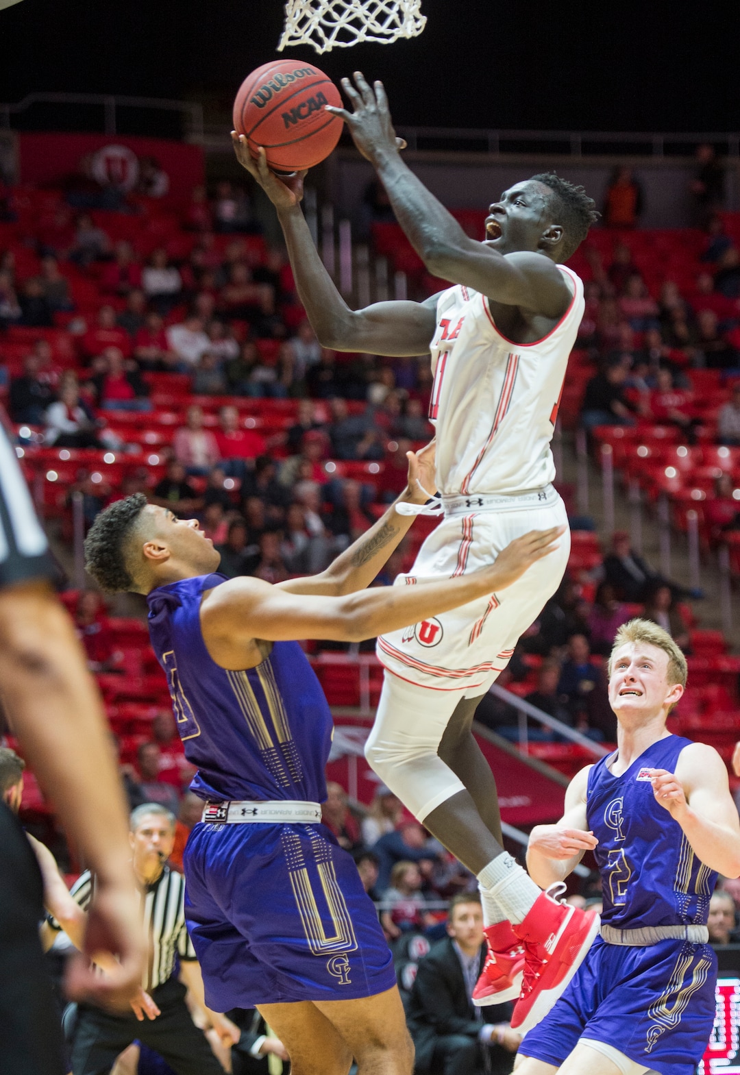 (Rick Egan  |  The Salt Lake Tribune)   Utah Utes forward Both Gach (11) goes to the hoop, as Jalen Galloway (0) College of Idaho, defends, in basketball action, between the Utah Utes and the College of Idaho Yotes at the Jon M. Huntsman Center, Thursday, Nov. 1, 2018.