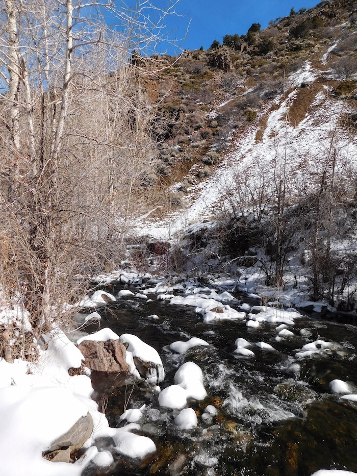 Erin Alberty | The Salt Lake Tribune
A scene from the canyons near Monrovian Park in Sevier County on March 8, 2017.