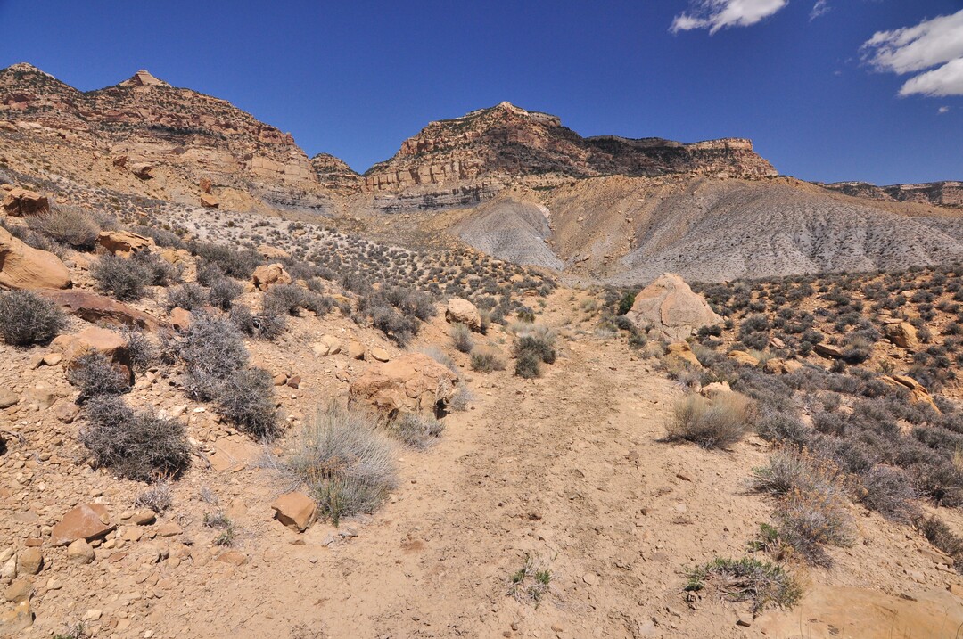 (Photo courtesy of Southern Utah Wilderness Alliance) Grand Bench Neck Road, also known as K8650 in Kane County, is one of 15 "bellwether" routes at issue in a month-long trial in U.S. District Court that opens Tuesday, Feb. 4, where Judge Clark Waddoups will render decisions that will guide resolution to Utah's claims to 12,000 other routes crossing public lands.