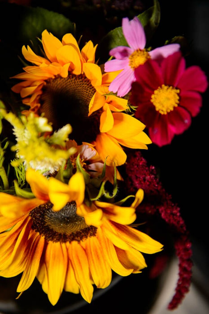 (Trent Nelson | The Salt Lake Tribune)  Flowers from Top Crops Urban Farm at the Tuesday Farmer's Market in Salt Lake City's Pioneer Park, Tuesday Aug. 14, 2018. The laid-back market continues now through September and features about 20 vendors.