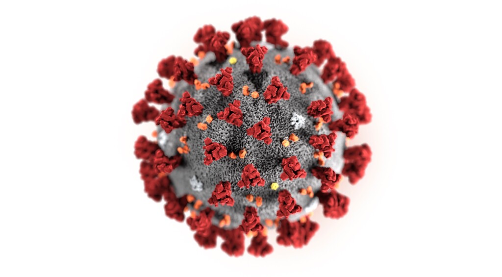 (Centers for Disease Control and Prevention via AP) This illustration provided by the Centers for Disease Control and Prevention in January 2020 shows the 2019 Novel Coronavirus (2019-nCoV). This virus was identified as the cause of an outbreak of respiratory illness first detected in Wuhan, China.