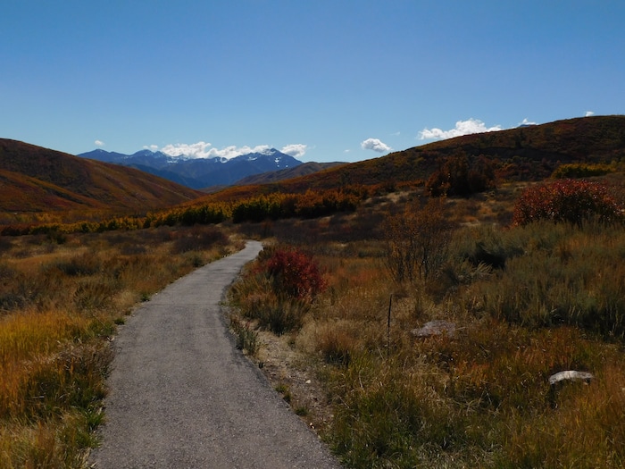 (Erin Alberty|The Salt Lake Tribune) Autumn leaves radiate color around the Cascade Springs Trail on Oct. 9, 2017 in Wasatch County.