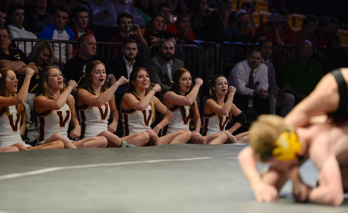 (Francisco Kjolseth  |  The Salt Lake Tribune)  Viewmont cheerleader cheer on Karson Rees in the Class 54A state wrestling championship match at the Utah Valley University UCCU Center on Thursday, Feb. 8, 2018.
