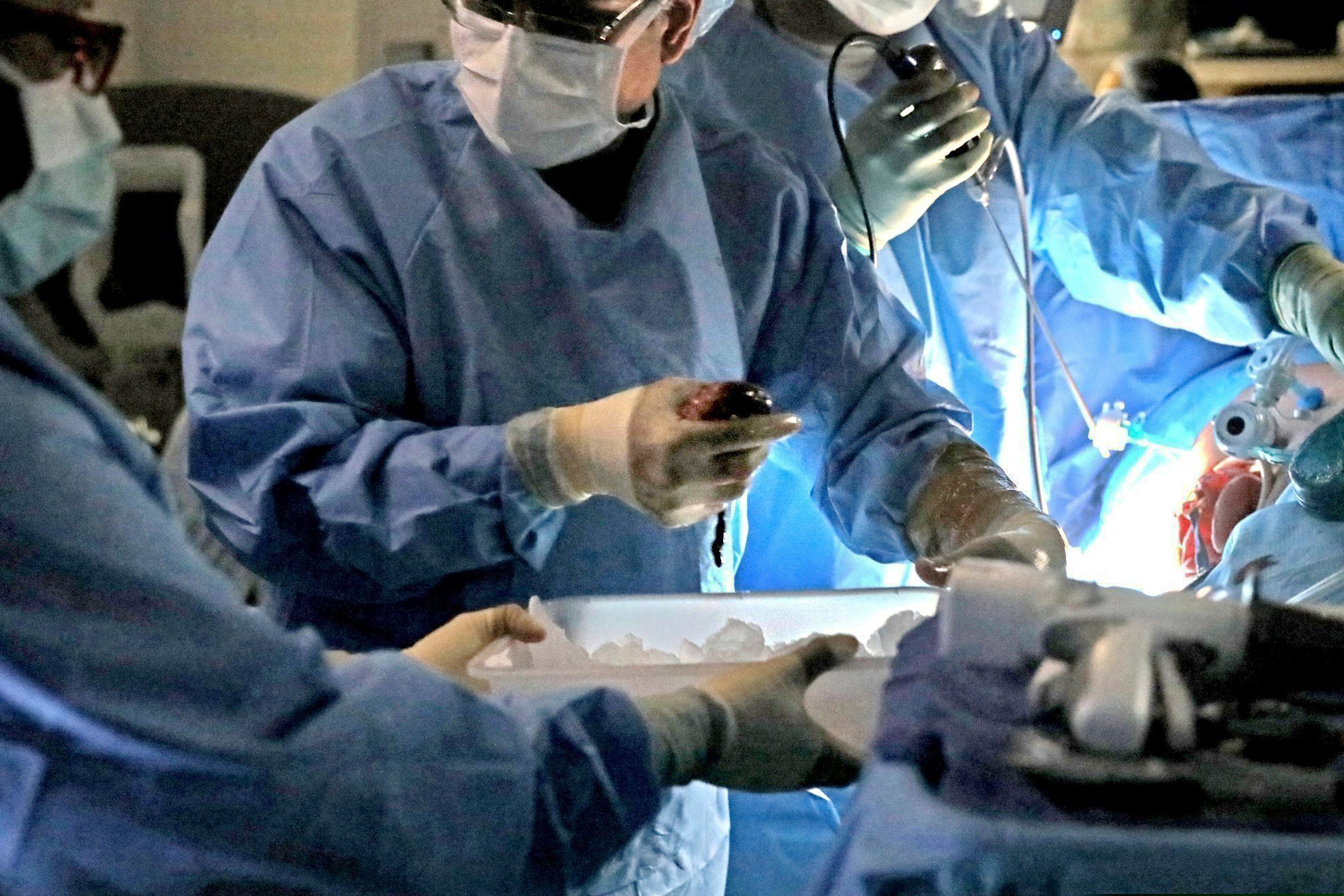 (Laurie Skrivan | St. Louis Post-Dispatch via AP, File)

In this Jan. 17, 2018, file photo, a transplant surgeon holds the kidney from a donor during surgery in St. Louis.