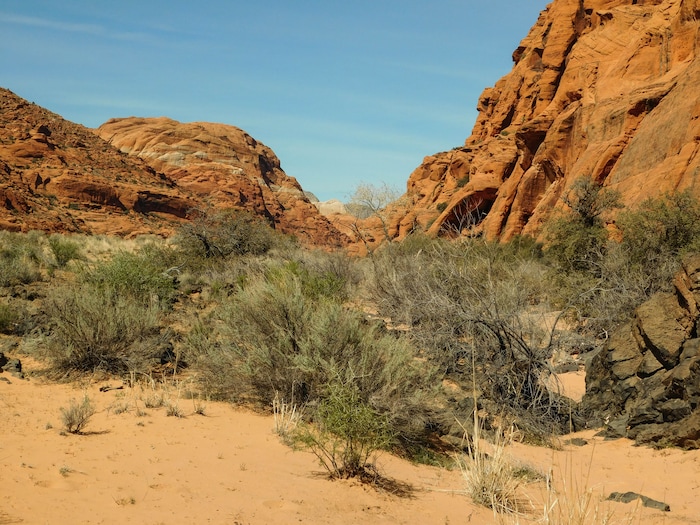 Jenny's Canyon is a quick hike to a short slot canyon in Snow Canyon State Park. Photo taken March 9, 2017. Erin Alberty/The Salt Lake Tribune