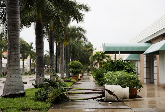 (AP Photo/David Goldman) A planter is blown over from the effects of Hurricane Irma outside a business in Naples, Fla., Sunday, Sept. 10, 2017.