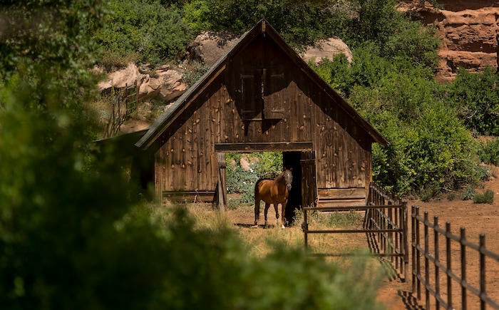 Leah Hogsten  |  The Salt Lake Tribune
Only about 300 acres are in use for animals and administrative functions, including large pens for the 38 horses under present care at Best Friends.   Best Friends saves thousands of animals every year as the nation's largest no-kill sanctuary, encompassing some 3,700 acres about 5 miles outside Kanab.

