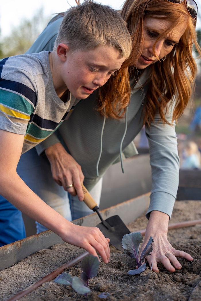 (Rick Egan | The Salt Lake Tribune)  Jacob watches as his mom, Jennie Taylor helps her son Jacob plant a cabbage, during the Earth Day Party at the Mini Taylor farm at at the Jennie Taylor's residence, in North Ogden. Taylor is the widow to the late Major. Brent Taylor, killed in 2018 while on Army National Guard duty in Afghanistan, donations have helped restore the small family farm, with planter boxes, a chicken coop, and a sandbox for the kids, on Thursday, April 22, 2021.