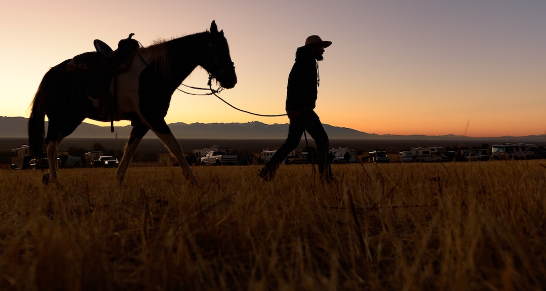 (Francisco Kjolseth  |  The Salt Lake Tribune)  Riders prepare their horses at first light for the 33rd annual Bison Roundup, Saturday, Oct. 26, 2019, on Antelope Island, a state park located near Syracuse in Davis County. Every year Utah wildlife and parks officials move the animals from across the island so they can be weighed, tagged and given health screenings.