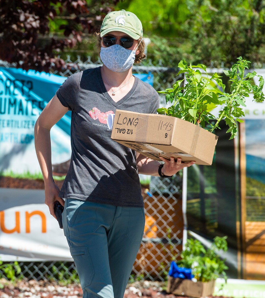 (Rick Egan  |  The Salt Lake Tribune)   Maddie Judge delivers plants to a customer in their car during the Wasatch Community Gardens 2020 Spring Plant Sale Fundraiser, Saturday May 9, 2020