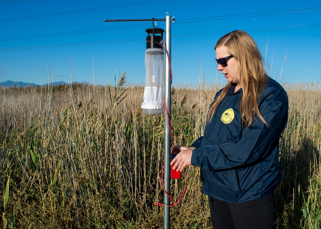 (Rick Egan  |  The Salt Lake Tribune) Biologist Nadja Reissen checks a mosquito trap in a field north of the Salt Lake International Airport, Thursday, Sept. 12, 2019.