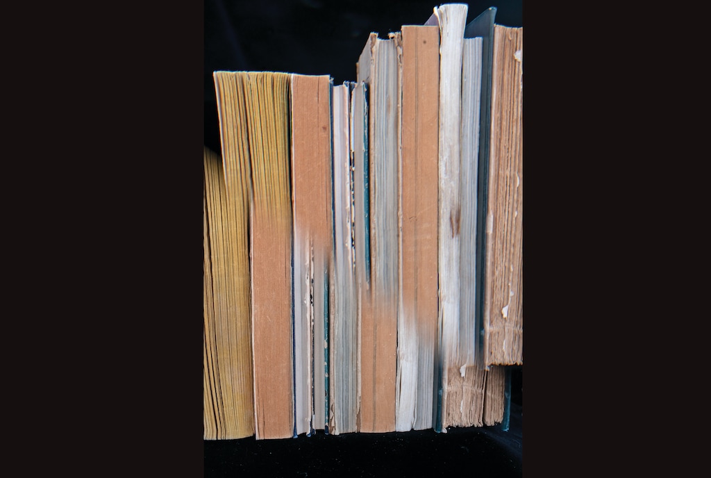 Using an in-camera optical effect to create a repeating look, a vertical stack of books. (Tamara Porras/The New York Times) 
