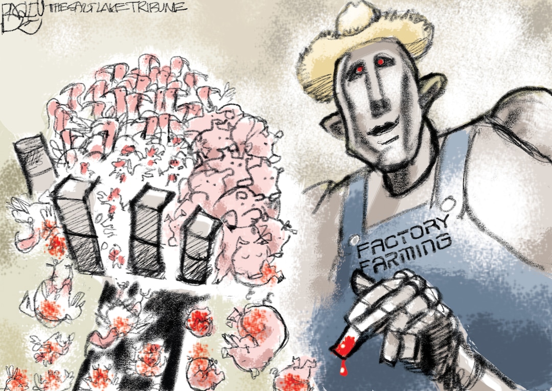 (Pat Bagley | The Salt Lake Tribune) This Pat Bagley cartoon, titled "Future Factory Farmers," appears in The Salt Lake Tribune on on Tuesday, Nov. 21, 2017.