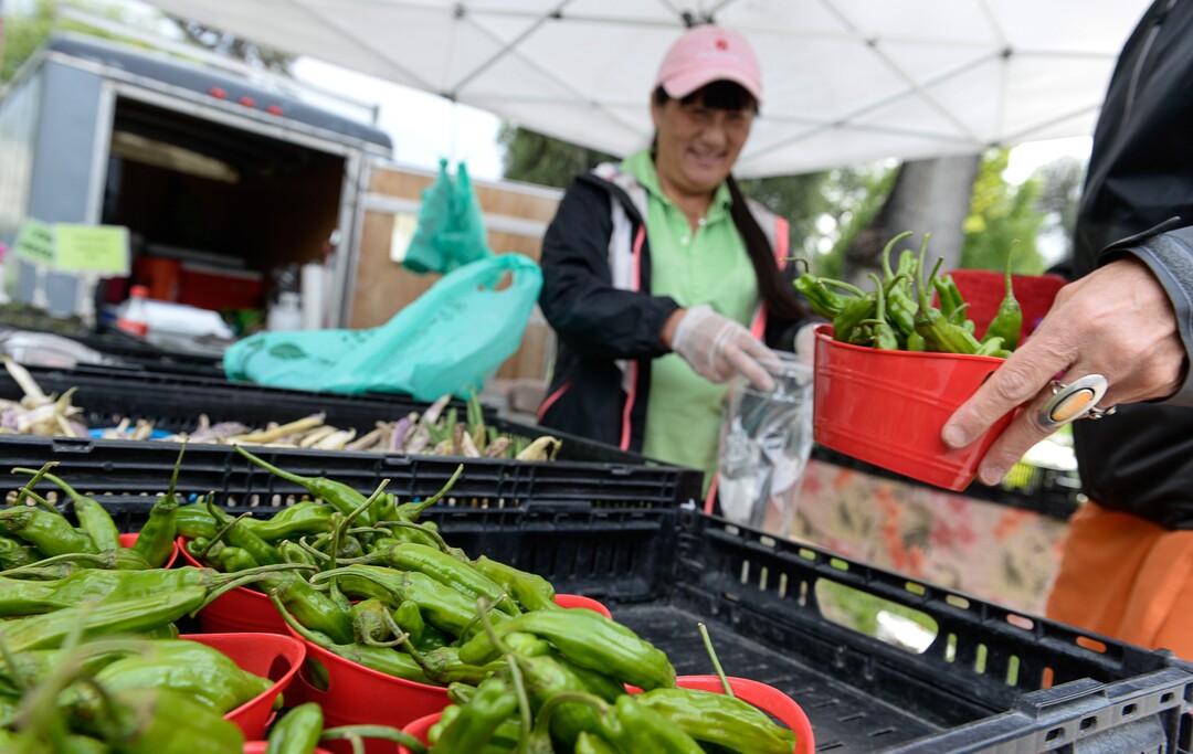 (Francisco Kjolseth  |  The Salt Lake Tribune)  Fusako Tomiyama of Asian & Heirlooms back yard urban farm in Millcreek, sells her vegetables at the Downtown Tuesday Farmers Market at Pioneer Park as Salt Lake CityÕs Parks and Public Lands Division invites the public to attend a jubilee in celebration of the recently completed improvements at the park on Tuesday, September 10, 2019.