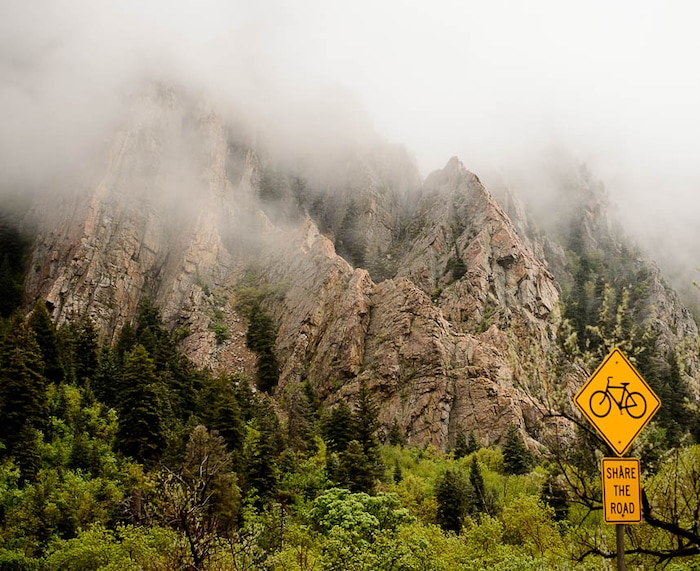 (Trent Nelson | The Salt Lake Tribune)
A misty afternoon near Storm Mountain in Big Cottonwood Canyon, Friday May 11, 2018.