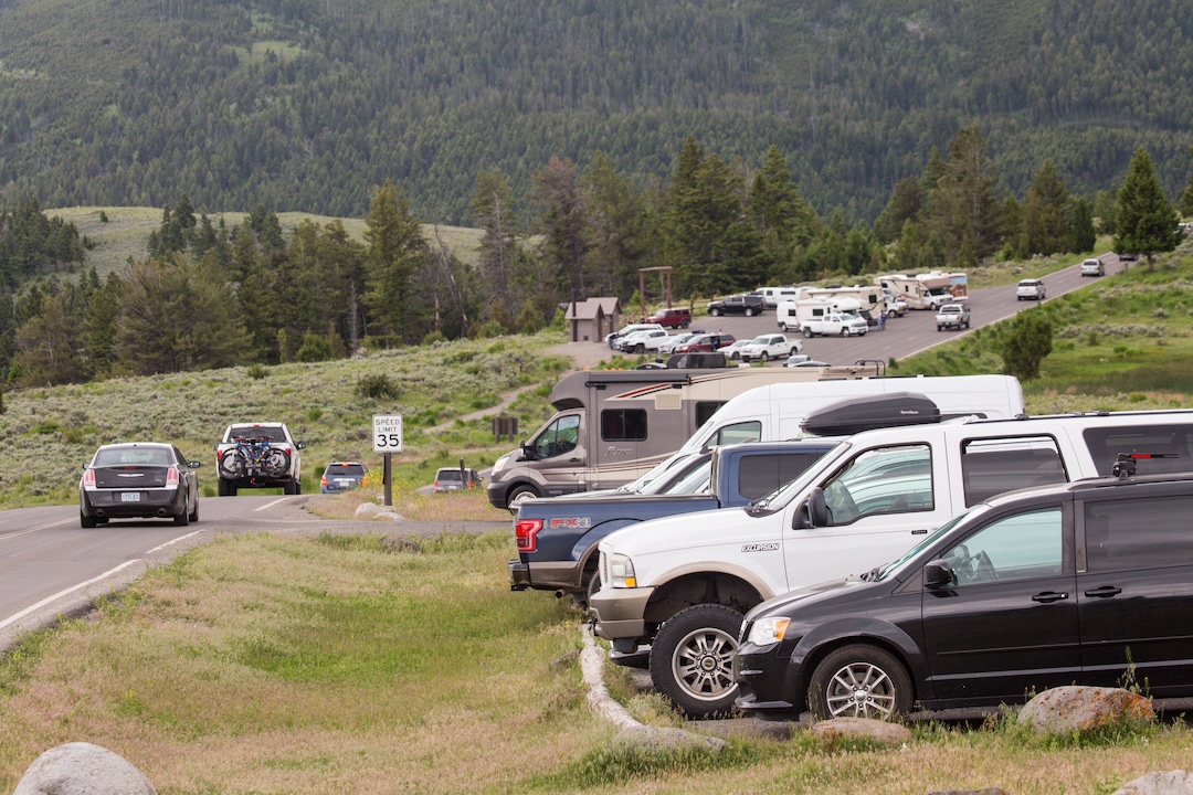 (Jacob W. Frank  |  NPS) Cars crowd parking lots at Mammoth Hot Springs in Yellowstone National Park.