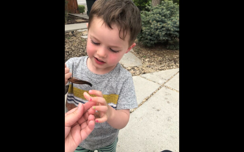(Marina Gomberg | The Salt Lake Tribune) Marina Gomberg was a bit surprised when she saw how much hair her wife, Elenor, cut off. Their son, Harvey, proudly showed her.