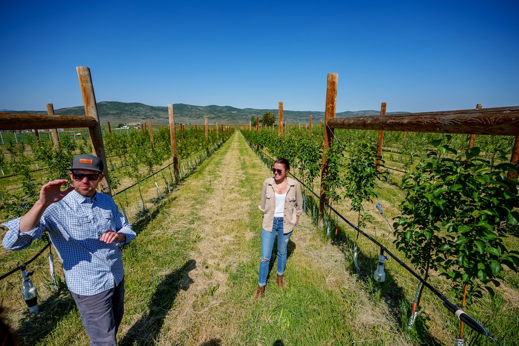 (Trent Nelson | The Salt Lake Tribune) Brendan and Carly Coyle at Dendric Estate, a new cidery and orchard in Kamas, on Tuesday, June 24, 2025.