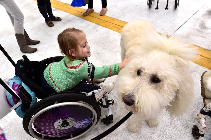 (Scott Sommerdorf   |  The Salt Lake Tribune)   Whitney Cook pets "Gigi" the therapy dog as patients from Primary ChildrenÕs and Shriners Hospitals were treated to a unique experience on Saturday at a Delta hangar of the Slat Lake International airport. They boarded a Boeing 737 which taxied to their final destinationÑSantaÕs Winter Wonderland, Saturday, December 2, 2017.  