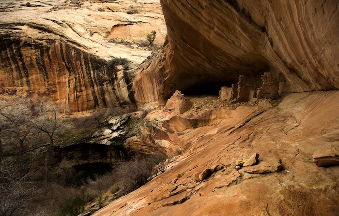 Rick Egan | The Salt Lake Tribune
Monarch Cave, in the Butler Wash, near where Mary Benally spent a year of her childhood east of Comb Ridge in Bears Ears National Monument. Thursday, January 12, 2017.