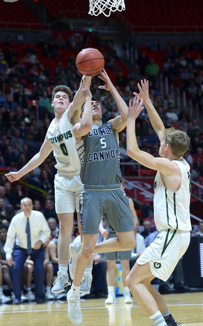 (Leah Hogsten | The Salt Lake Tribune) Olympus' Jeremy DowDell (00) swats at Corner Canyon's Luke Warnock (05).Olympus defeated Corner Canyon 76-49 to win the 5A High School BoysÕ Basketball Tournament Championship at the Jon M. Huntsman Center in Salt Lake City, Friday, March 2, 2018.