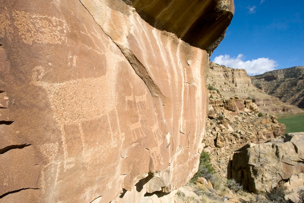 (Al Hartmann  |  The Salt Lake Tribune) Petroglyphs of animals grace the walls above Nine Mile Canyon in the western end of the Book Cliffs.