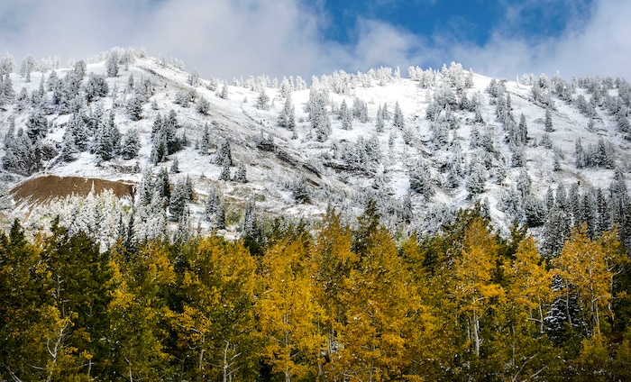 (Steve Griffin | The Salt Lake Tribune) A fall storm leaves a trace of snow in Little Cottonwood Canyon in Salt Lake City Friday September 22, 2017.