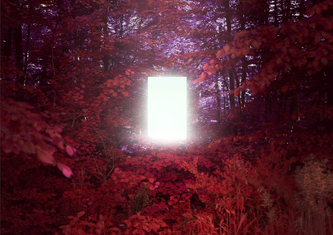 (Marine Bigourie  |  courtesy of Sundance Institute) A still from "Solastalgia," by Antoine Viviani and Pierre-Alain Giraud, an official selection of the New Frontier Exhibitions program at the 2020 Sundance Film Festival.