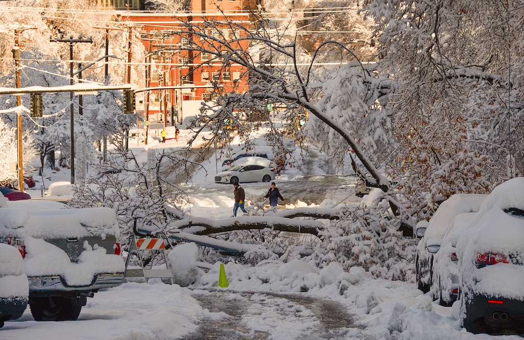 (Chris Samuels | The Salt Lake Tribune) A downed tree branch takes down a power line from heavy snow in Salt Lake City, Wednesday, Dec. 15, 2021.