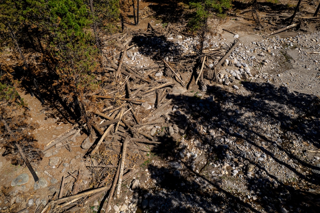 (Trent Nelson  |  The Salt Lake Tribune) Scars from the Forsyth Fire and flooding in Pine Valley Recreation Area on Wednesday, June 24, 2026.