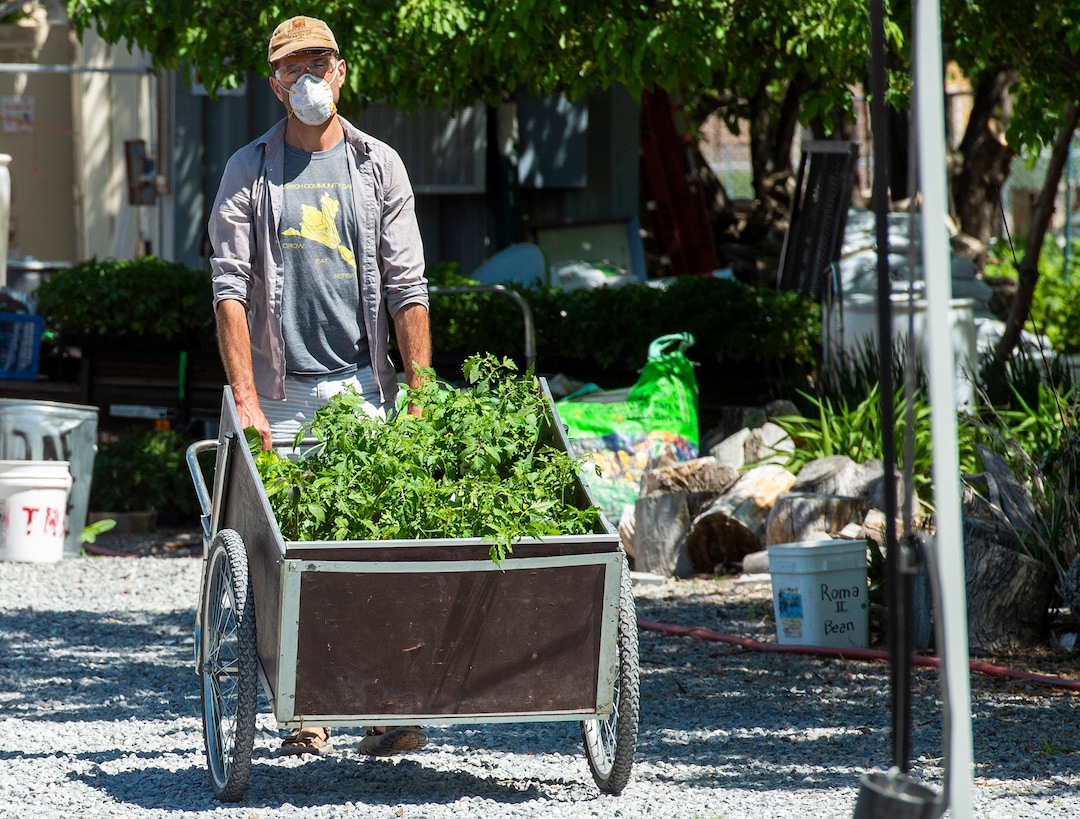 (Rick Egan  |  The Salt Lake Tribune)   Giles Larsen moves plants during Wasatch Community Gardens 2020 Spring Plant Sale Fundraiser, Saturday May 9, 2020