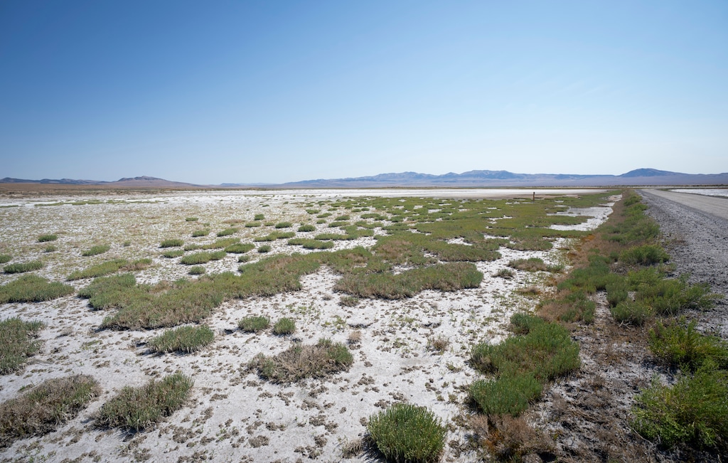 (Bethany Baker  |  The Salt Lake Tribune) Salt is seen near the salt wells along Salt Wells Road near the Great Salt Lake on Monday, July 13, 2026.