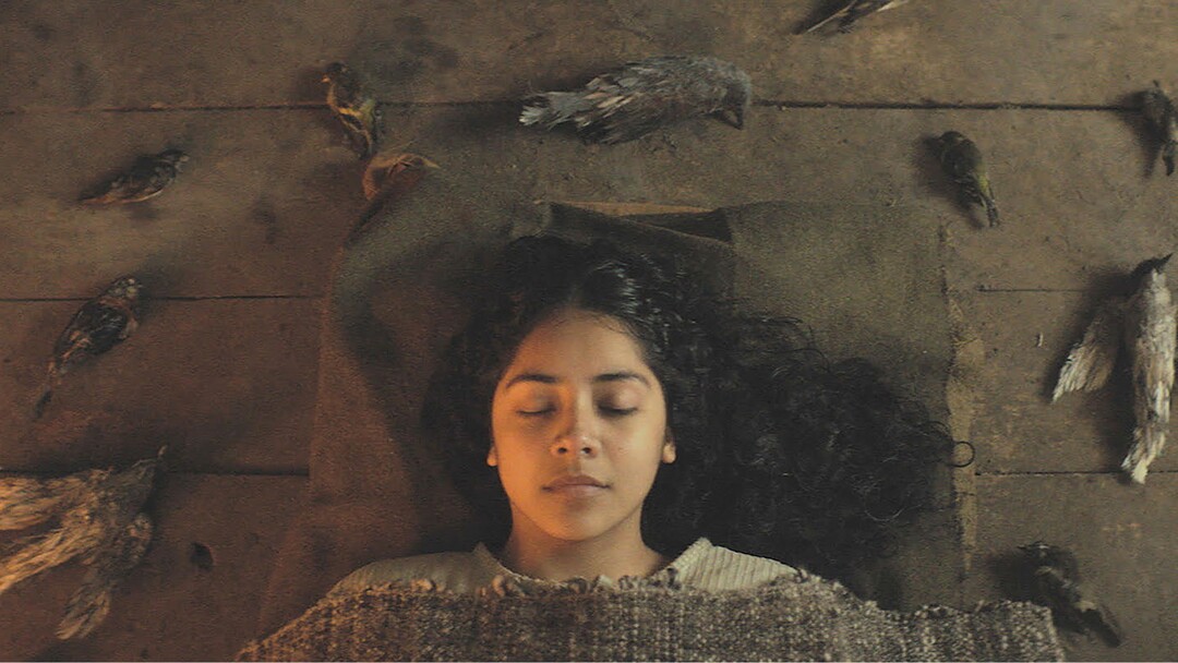 (Sundance Institute) Catarina Oliveira plays a teen who consults with sorcerers to get revenge on the foreman who turned on her father, in director Christopher Murray's "Sorcery," an official selection of the World Dramatic competition at the 2023 Sundance Film Festival.