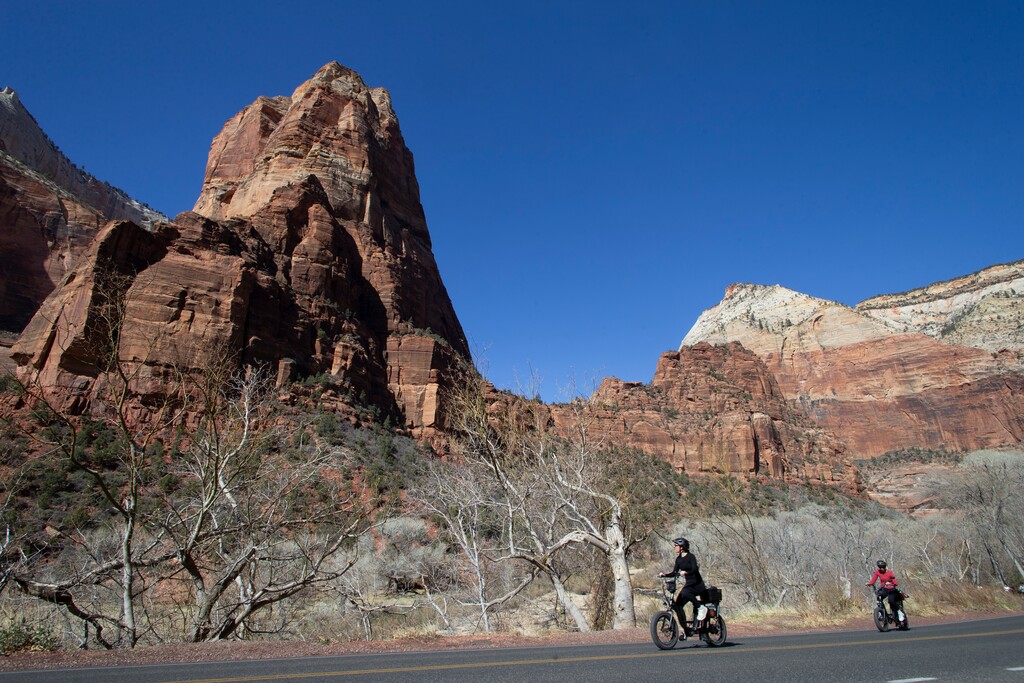 (Chris Caldwell | Special to The Tribune) Zion National Park visitors take advantage of the last day before shuttles resume service by biking and walking through the park on March 1, 2025.