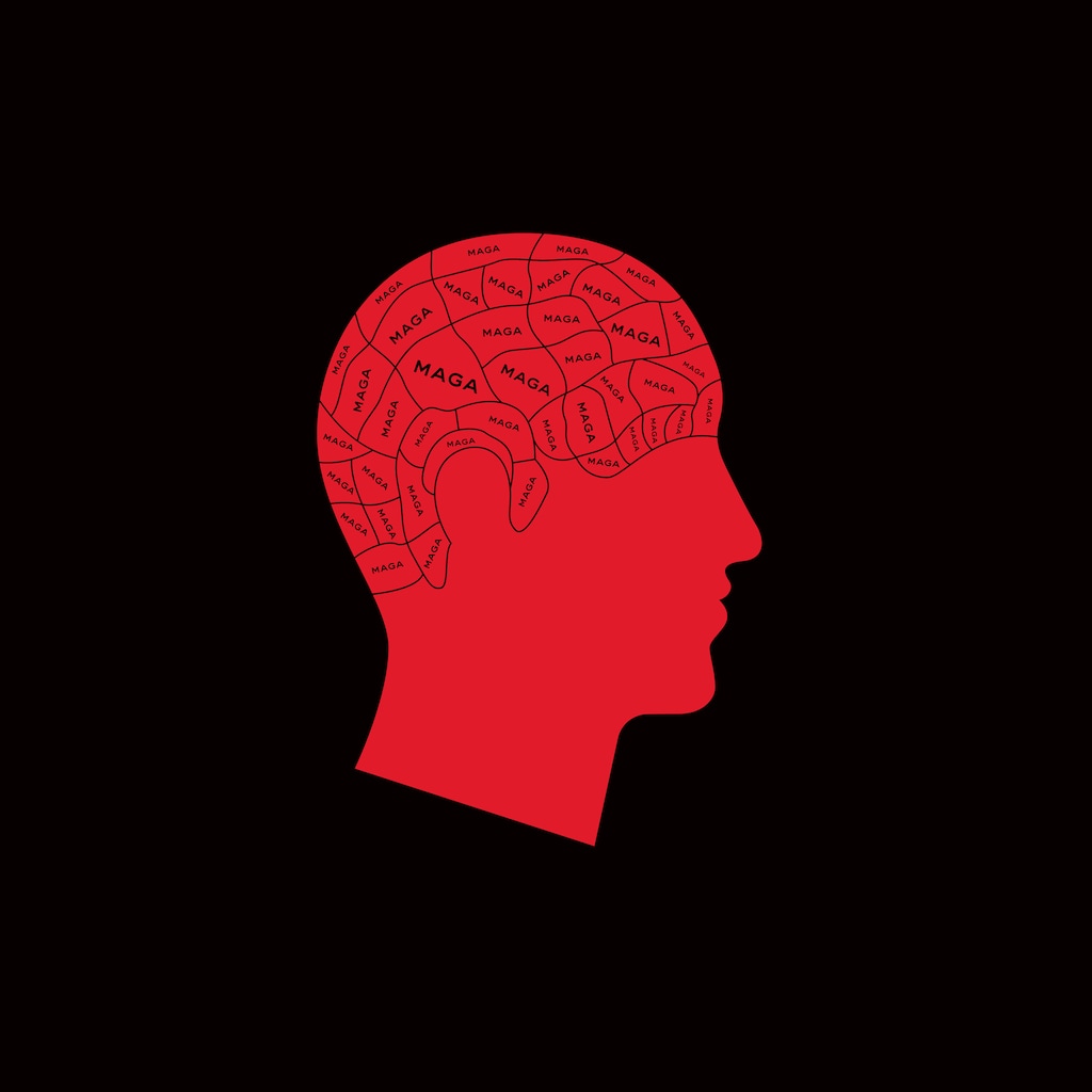(Ben Wiseman | The New York Times)
"I’m mindful that Trump often profited by caricaturing Democrats as scolds who constantly told people that they and America didn’t measure up. Trump refused to be judged. Plenty of Americans liked that," writes opinion columnist, Frank Bruni.