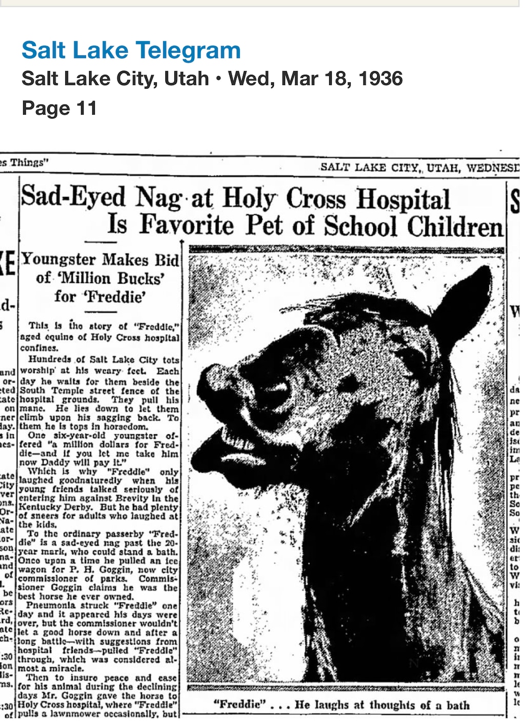 (Michael O'Brien) Screenshot from Salt Lake Telegram on March 18, 1936, of Freddie the horse.