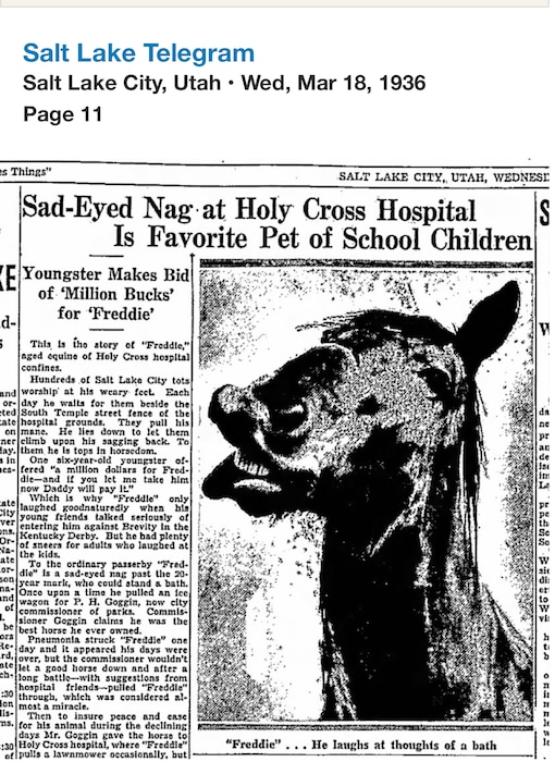 (Michael O'Brien) Screenshot from Salt Lake Telegram on March 18, 1936, of Freddie the horse.