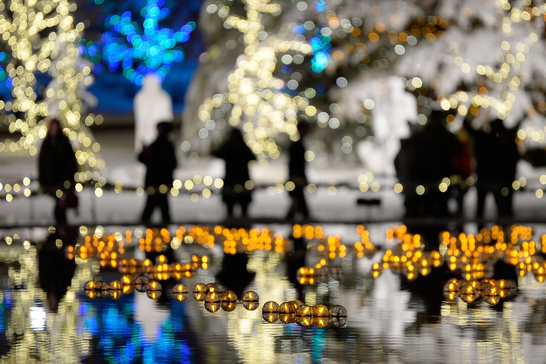 (Francisco Kjolseth  |  The Salt Lake Tribune)  Visitors take in the sights as Temple Square in Salt Lake City comes to life Friday, November 29, 2019, as hundreds of thousands of colorful LED bulbs light up, a yearly tradition that started in 1965. The lights will run through the end of the year.