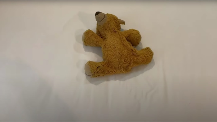 (Brynn Foote | courtesy photo) A plush toy takes a leap in "Less Than Lonely: A Teddy Bear Ballet," directed by Brynn Foote, one of the short films in The Salt Lake Tribune's Quarantine Film Festival.