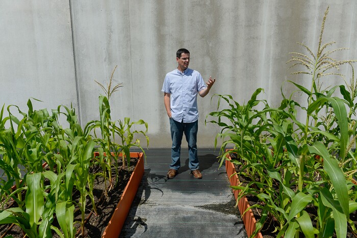 (Francisco Kjolseth  |  The Salt Lake Tribune)  Landon Bunderson, chief science officer at Aqua-Yield, a new company in Draper that uses nano technology to make fertilizers that it says are much more efficient for farmers to use, points out the experiments taking place with corn in a heat-stressed environment. Their products can cut down the use of fertilizers by as much as 80 percent or more, the company says.