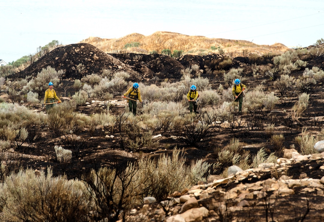 (Rick Egan  |  The Salt Lake Tribune)      Firefighters look for hotspots from the Knolls fire in Saratoga Springs near South Harrier Drive on Monday, June 29, 2020.