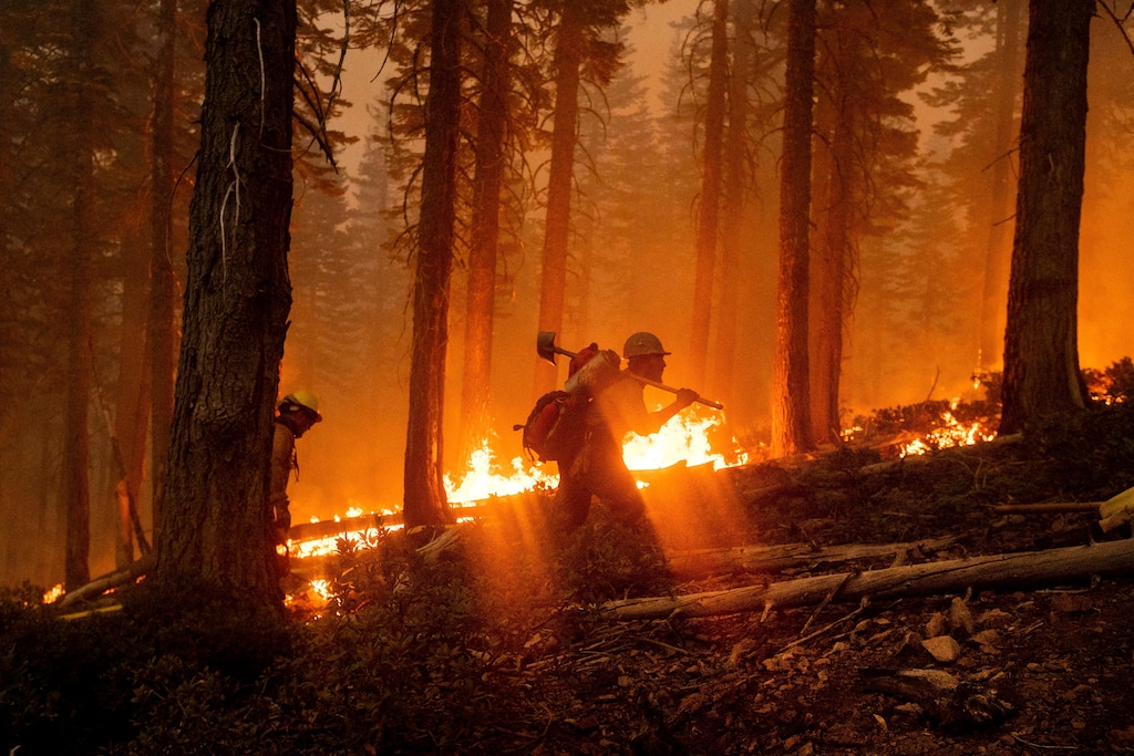 (Noah Berger | AP file photo) Firefighter Cody Carter battles the North Complex Fire in Plumas National Forest, Calif., on Sept. 14, 2020.