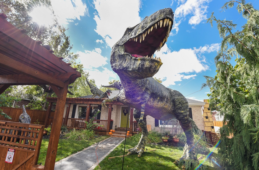 (Francisco Kjolseth  |  The Salt Lake Tribune)  Ammon Smith has outdone himself once again by going big on his front lawn at 1542 S. 900 East in Salt Lake City for Halloween after constructing a "maturing adult"-size T. rex along with a pair of velociraptors and pterodactyls. The part-time stay-at-home dad, who made a giant King Kong last year, started construction back in August as he assembled recycled wood, chicken wire, foam, aluminum foil and spray paint for the 12-by-32-foot Jurassic centerpiece and companion pieces.