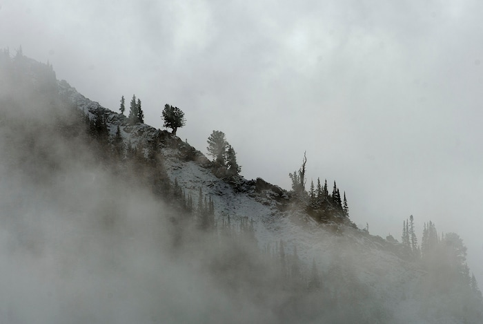 (Steve Griffin | The Salt Lake Tribune) A fall storm leaves a trace of snow in Little Cottonwood Canyon in Salt Lake City Friday September 22, 2017.