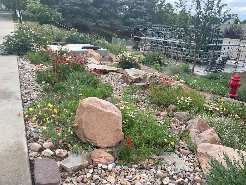 (Ali McKelvy  |  University of Utah) Waterwise plants amid a cluster of rocks can be found on a walkway to the Marriott Library at the University of Utah, part of a campus-wide effort to reduce water use.