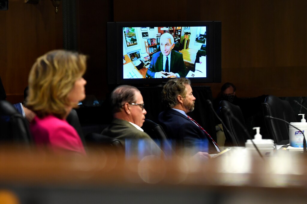 Senators listen as Dr. Anthony Fauci, director of the National Institute of Allergy and Infectious Diseases, speaks remotely during a virtual Senate Committee for Health, Education, Labor, and Pensions hearing, Tuesday, May 12, 2020 on Capitol Hill in Washington. (Toni L. Sandys/The Washington Post via AP, Pool)
