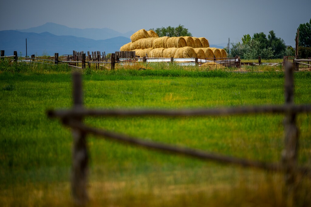 (Trent Nelson  |  The Salt Lake Tribune) Agricultural land in Spanish Fork on Tuesday, July 15, 2025.